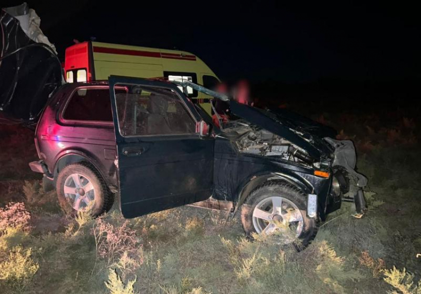 Под Астраханью водитель и пассажиры «Лады» пострадали в ДТП с лошадью
