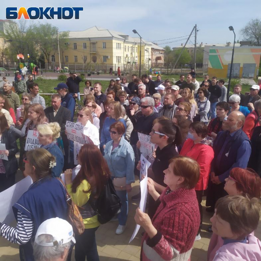 23 апреля в Астрахани пройдет очередной митинг против бездомных собак