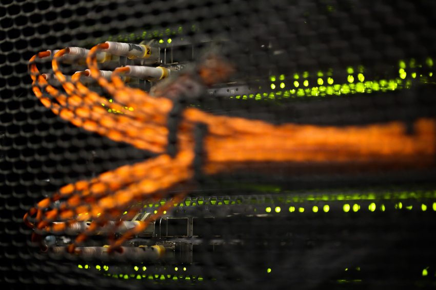 «Ростелеком» продолжает серию открытых обучающих семинаров по информационной безопасности в городах России