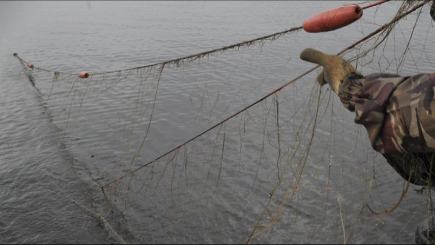 На Кривой Болде рыбак пытался установить 70-метровую сеть
