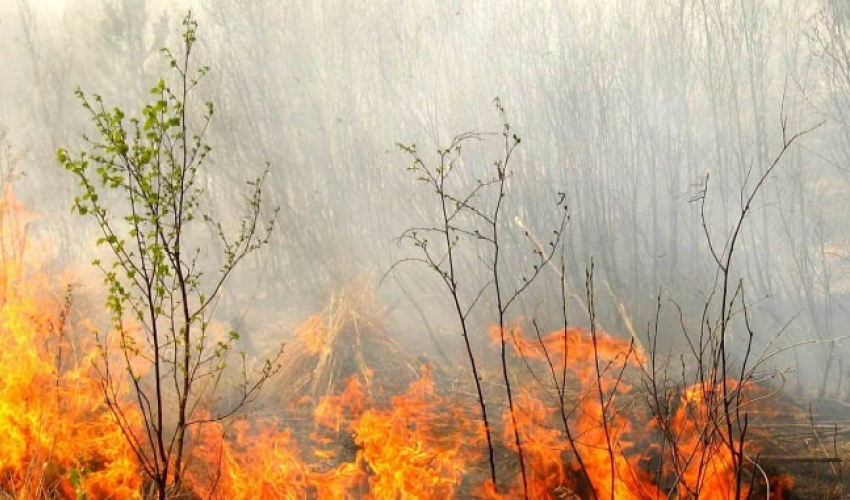 В Астрахани 7 и 8 сентября сохраняется высокая пожароопасность