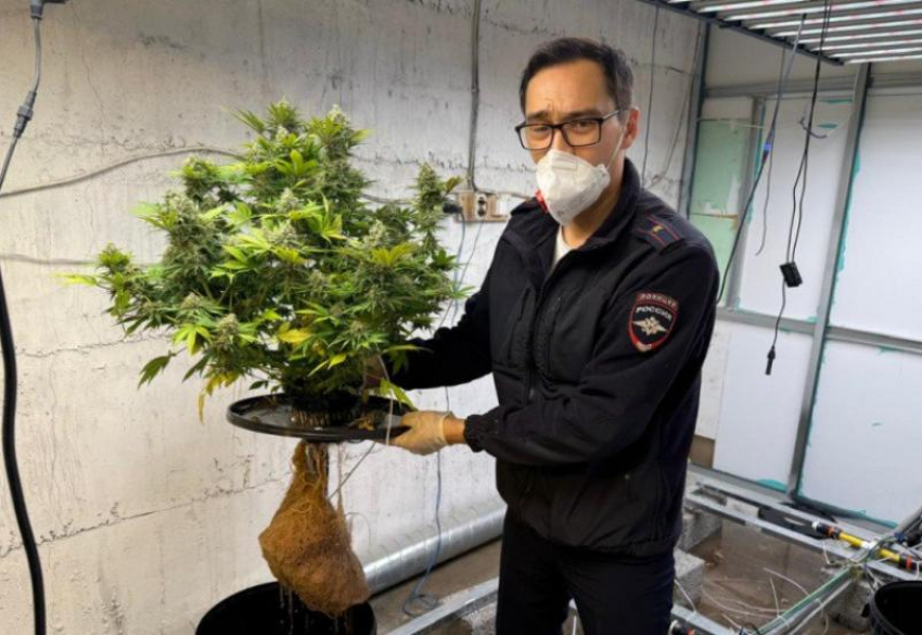 Спичечные коробки привели астраханскую полицию к наркоферме