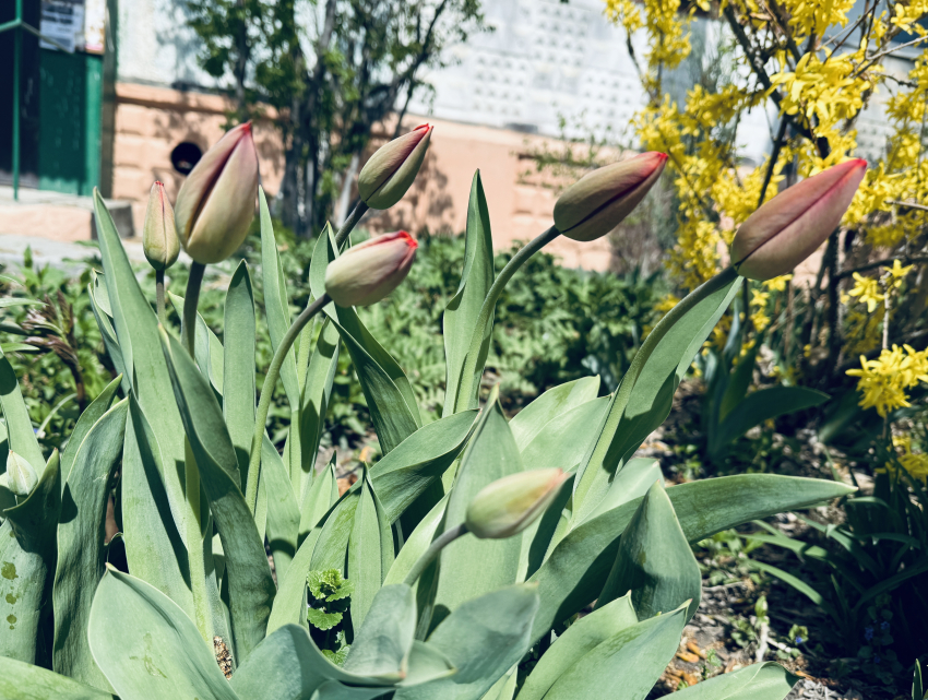 Погода, праздники, именины в пятницу 12 апреля 