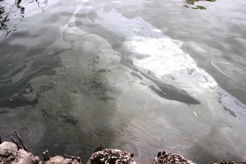 В акватории Волги в Астрахани обнаружено большое маслянистое пятно