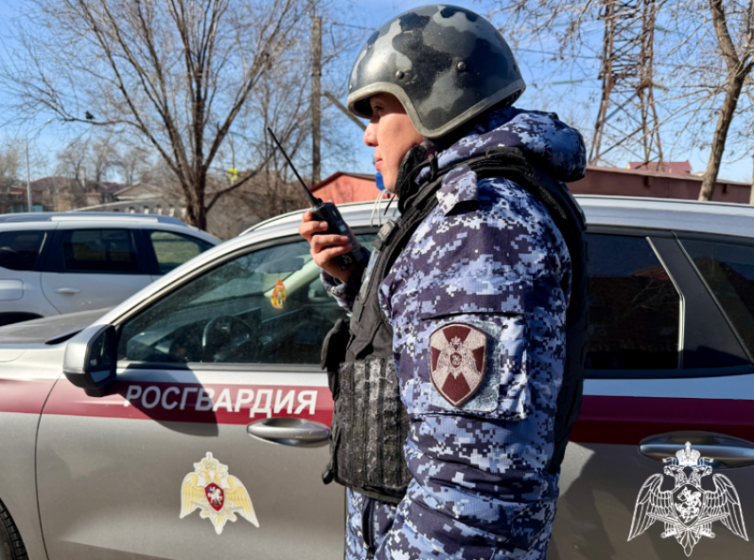 Букеты, конфеты, игрушка: астраханка спрятала краденые вещи в детскую коляску