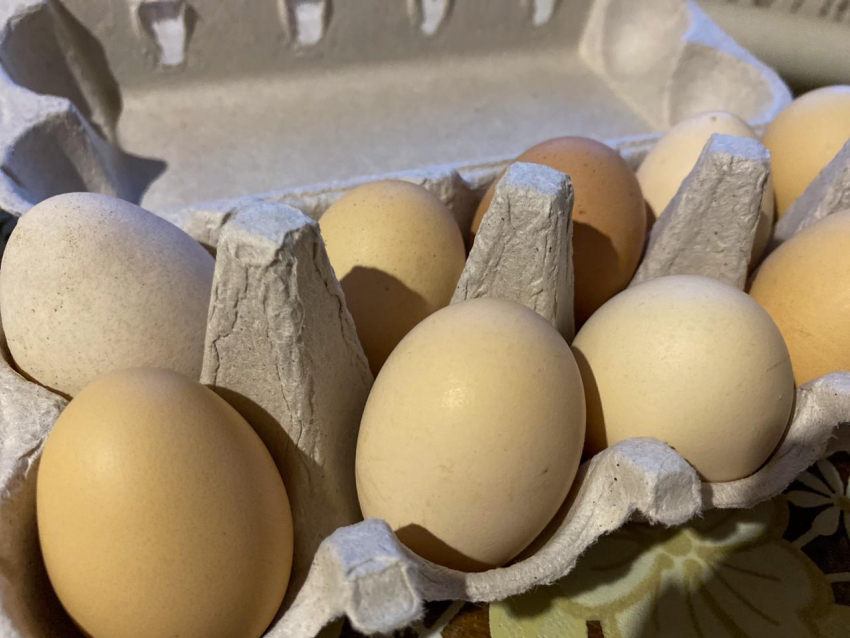 Яйца нынче в почёте: в Астрахани устроили распродажу перед Пасхой