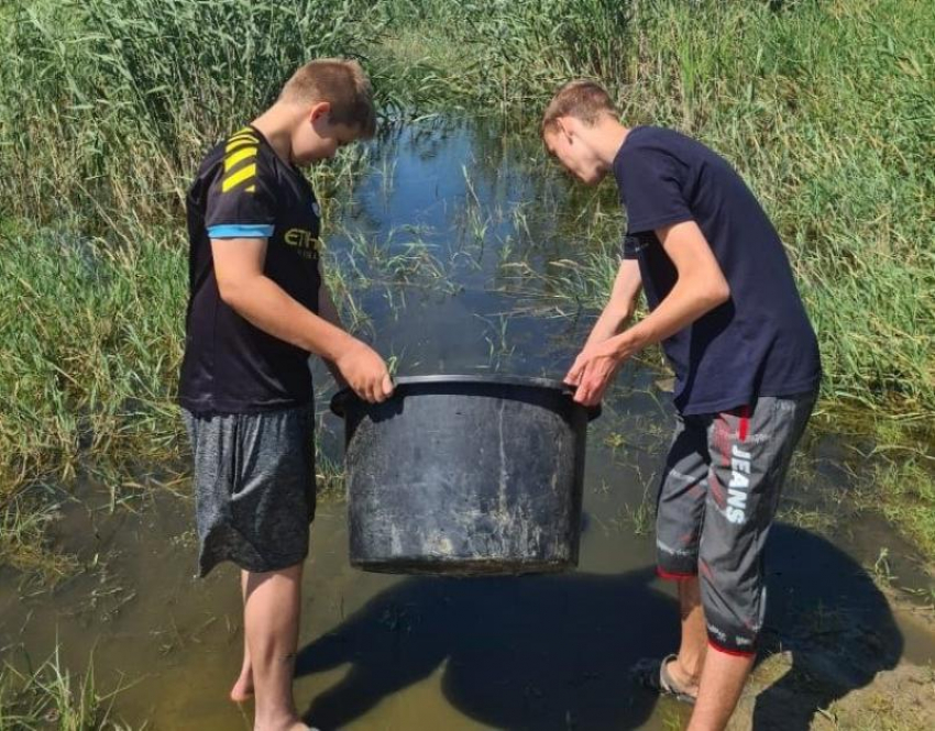 Астраханские школьники героически спасают рыбную молодь 