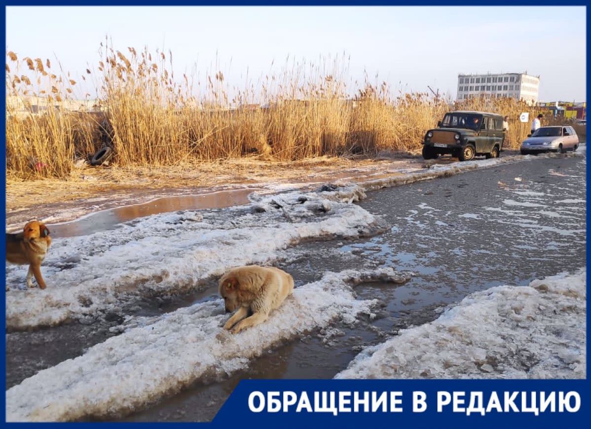 В Астрахани въезд на территорию полутора десятков предприятий затоплен  канализационными отходами