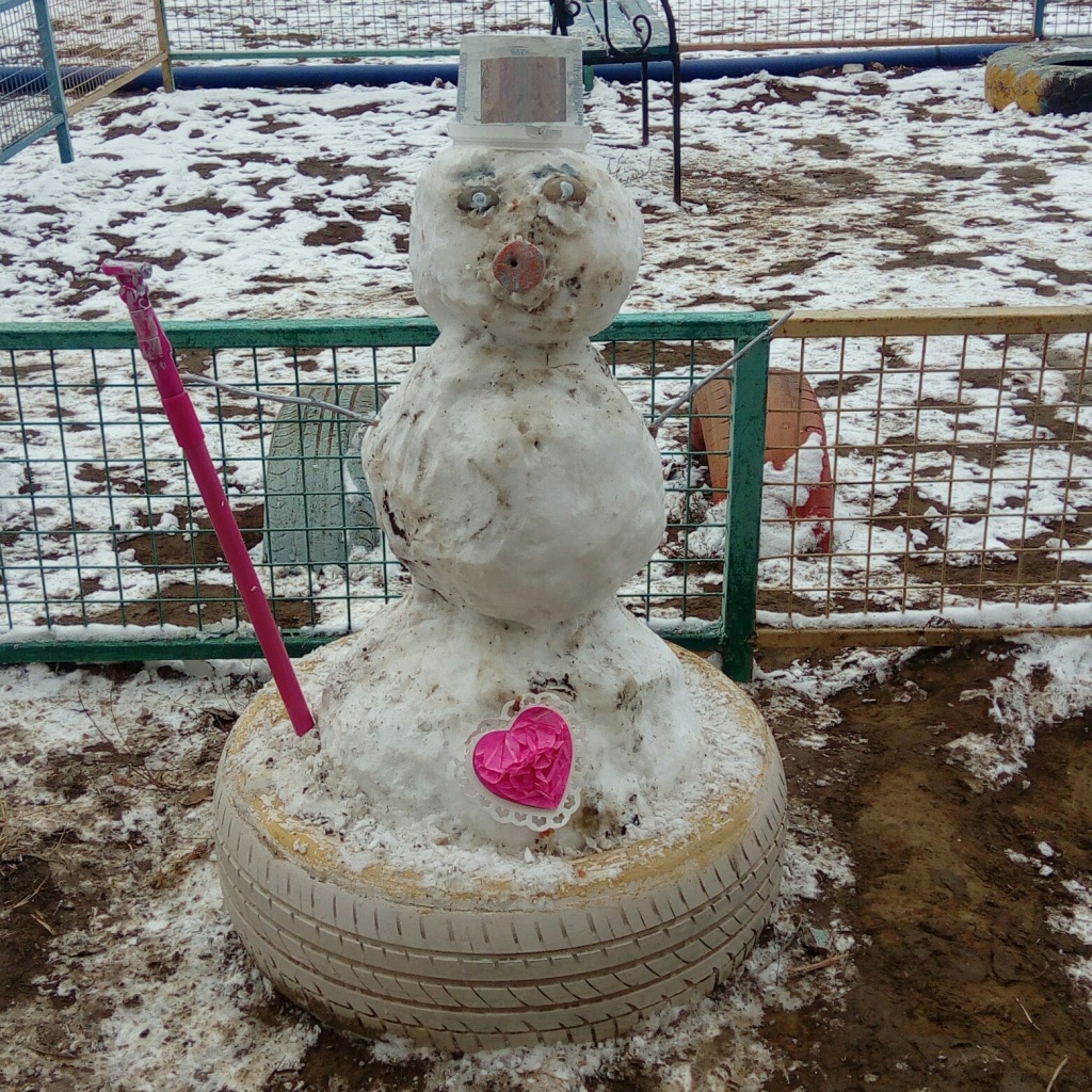 Ольга Несова.jpg